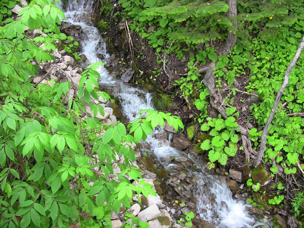 La Source Enchantée Baie-Saint-Paul Chambre photo